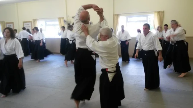 2019 Aikido Spring Seminar