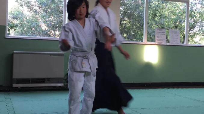 Ki Aikido Testimonial