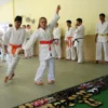 Junior Aikido Experience