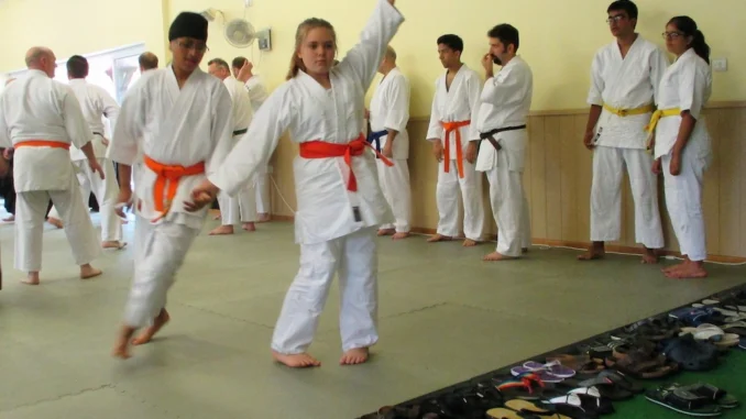 Junior Aikido Experience