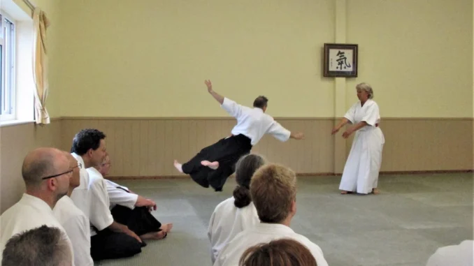 Aikido Update August 2017