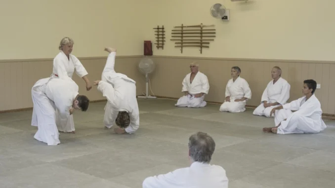 September 2018 Aikido Update