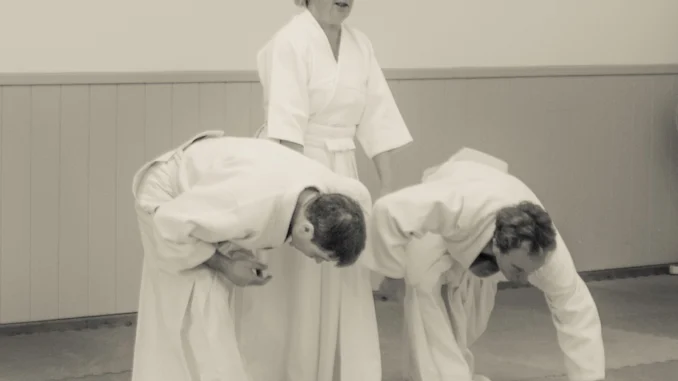 November 2022 Aikido Update
