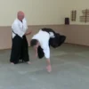 Aikido is for Everyone