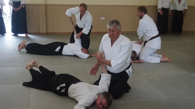 November 2024 Aikido Update