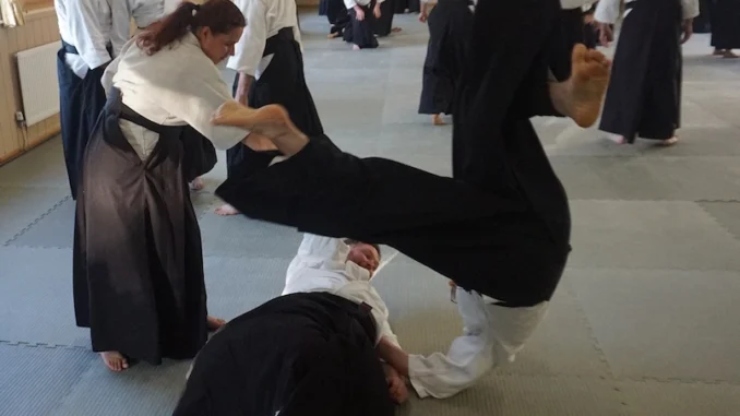 The Way of Aikido