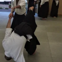 Bristol Filton Ki Aikido Club
