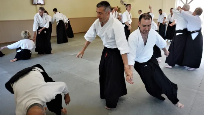August 2022 Aikido Update