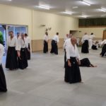 2023 Aikido Summer Seminar Pictures
