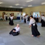 2023 Aikido Summer Seminar Pictures