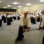 2023 Aikido Summer Seminar Pictures