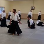 2023 Aikido Summer Seminar Pictures