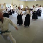 2023 Aikido Summer Seminar Pictures