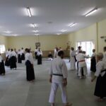 A wide shot of a class, with many students preparing to attack their partners