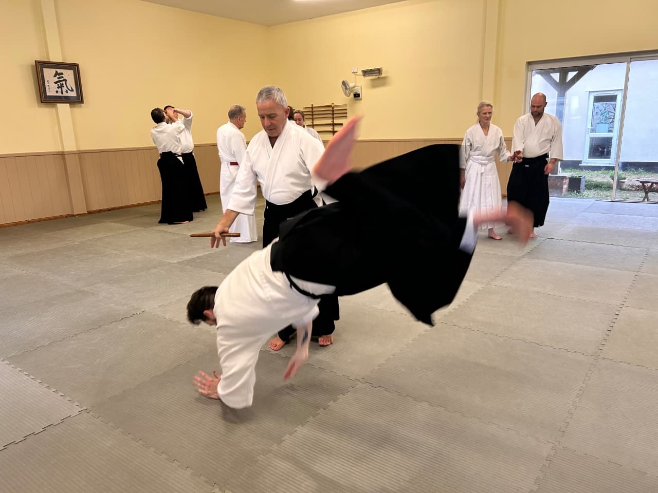 Ian throwing Ben after removing the tanto.