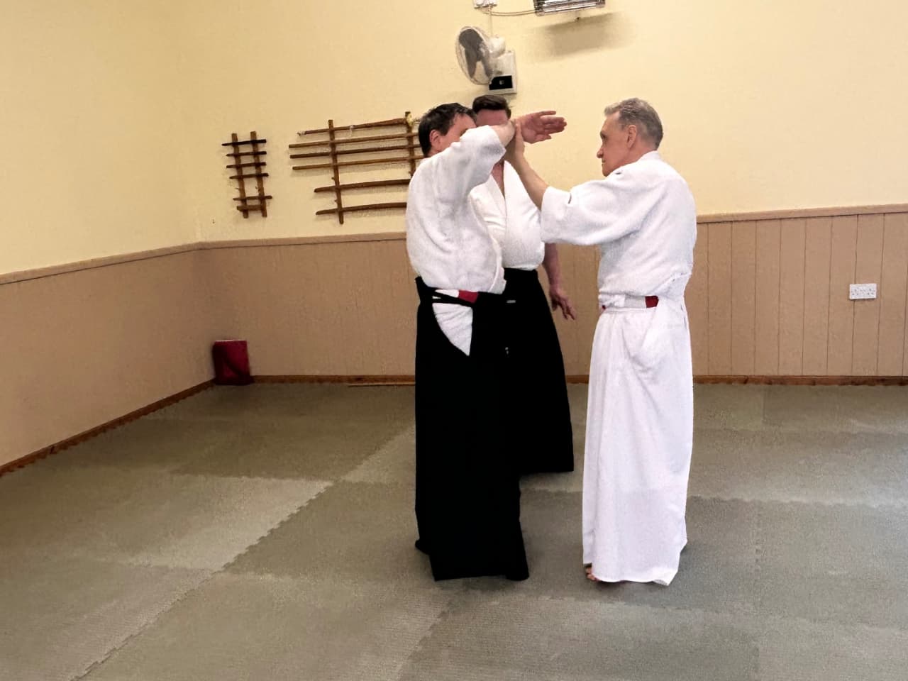 Sensei detailing a particular grip.
