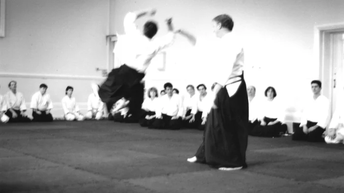 July 2019 Aikido Update
